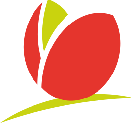 Logo Nuxilog